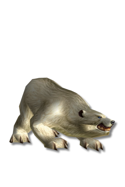 Bjarn